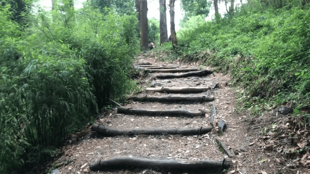 Hike through nature - Eco Park Dhanolti