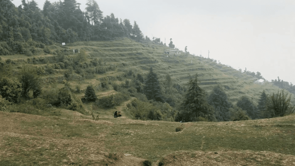 View from the top Eco Park Dhanolti