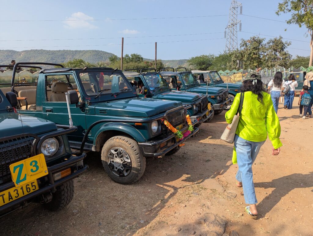 Jeeps lined up for safari