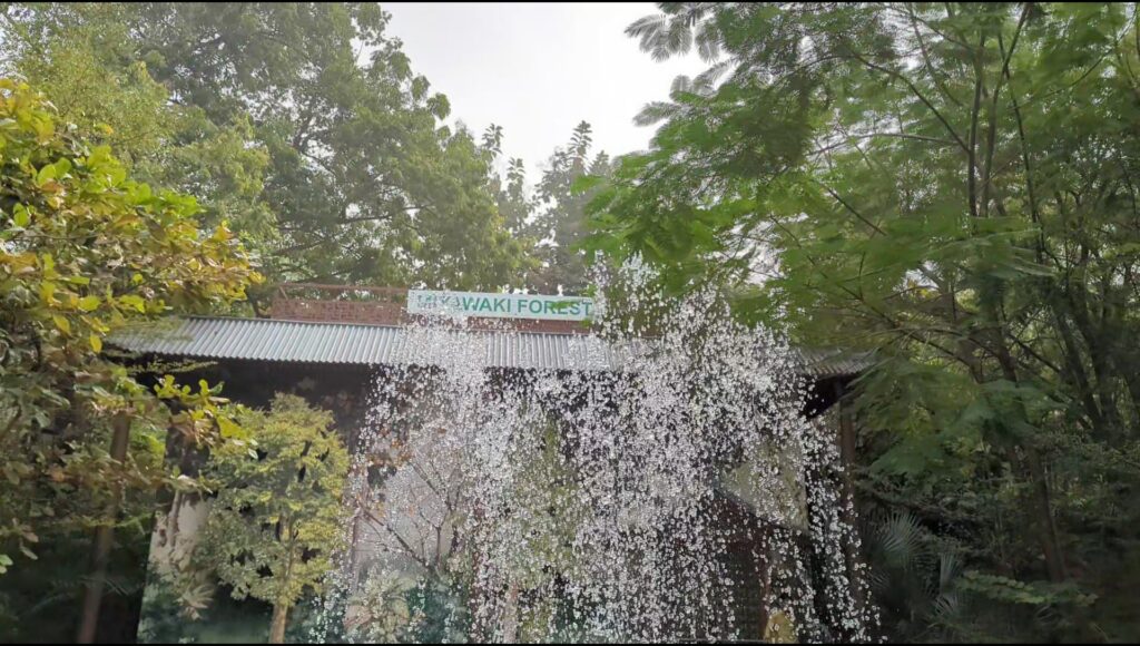 Miyawaki Forest