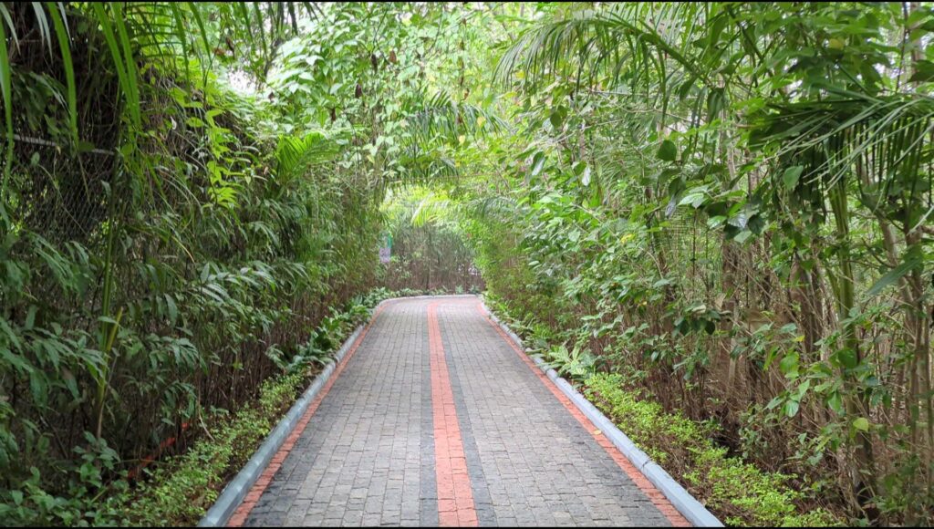 Miyawaki Forest