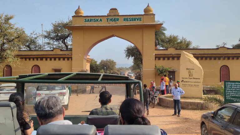 Sariska Tiger Reserve